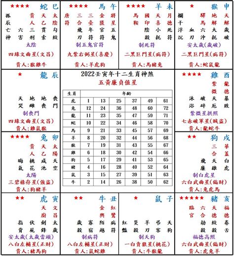 屬豬2023運勢|2023年12生肖運勢排行榜出爐 屬豬者財運大增